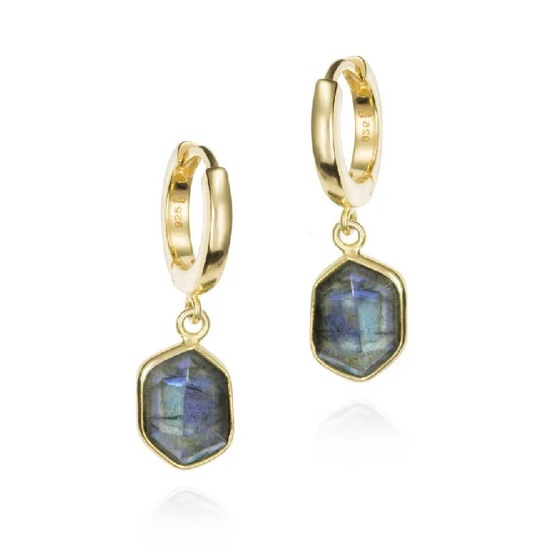 18K Yellow Gold Vermeil Hexagon Labradorite Dangle Earrings