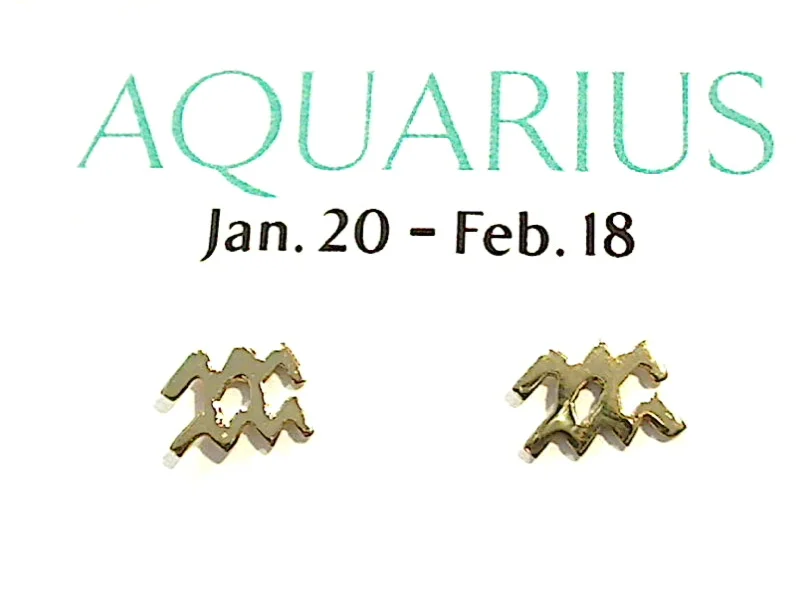 Gold Plated Sterling Aquarius Zodiac Stud Earrings