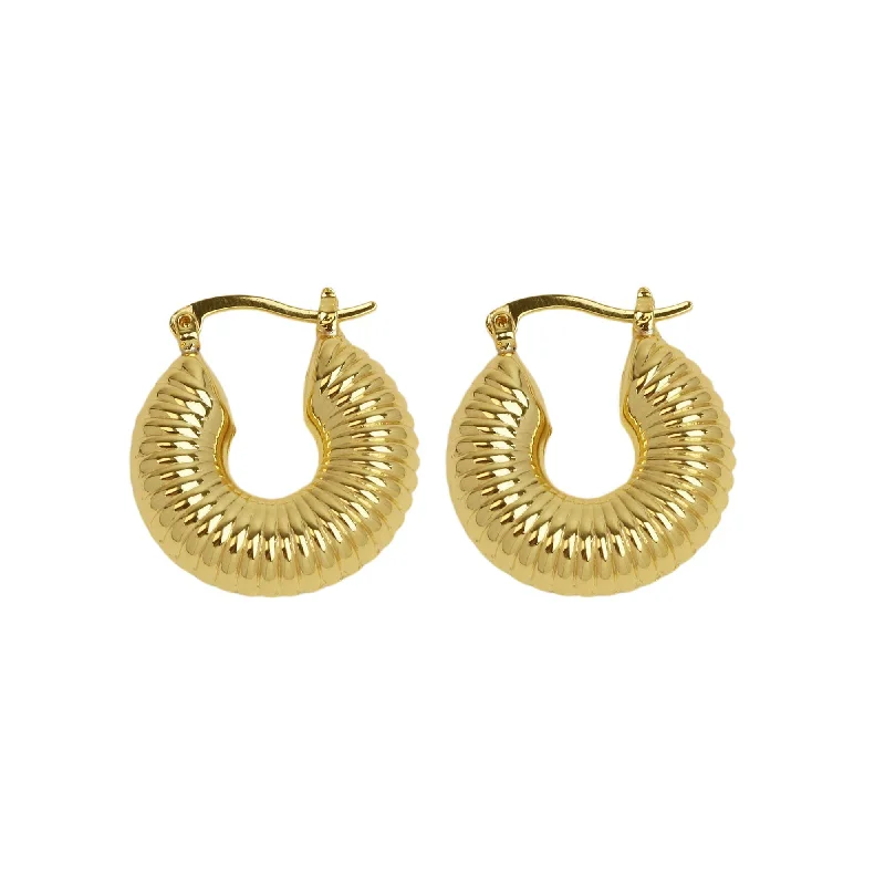 Textured Chunky Hoop Earrings